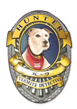 Hunter the termite detective