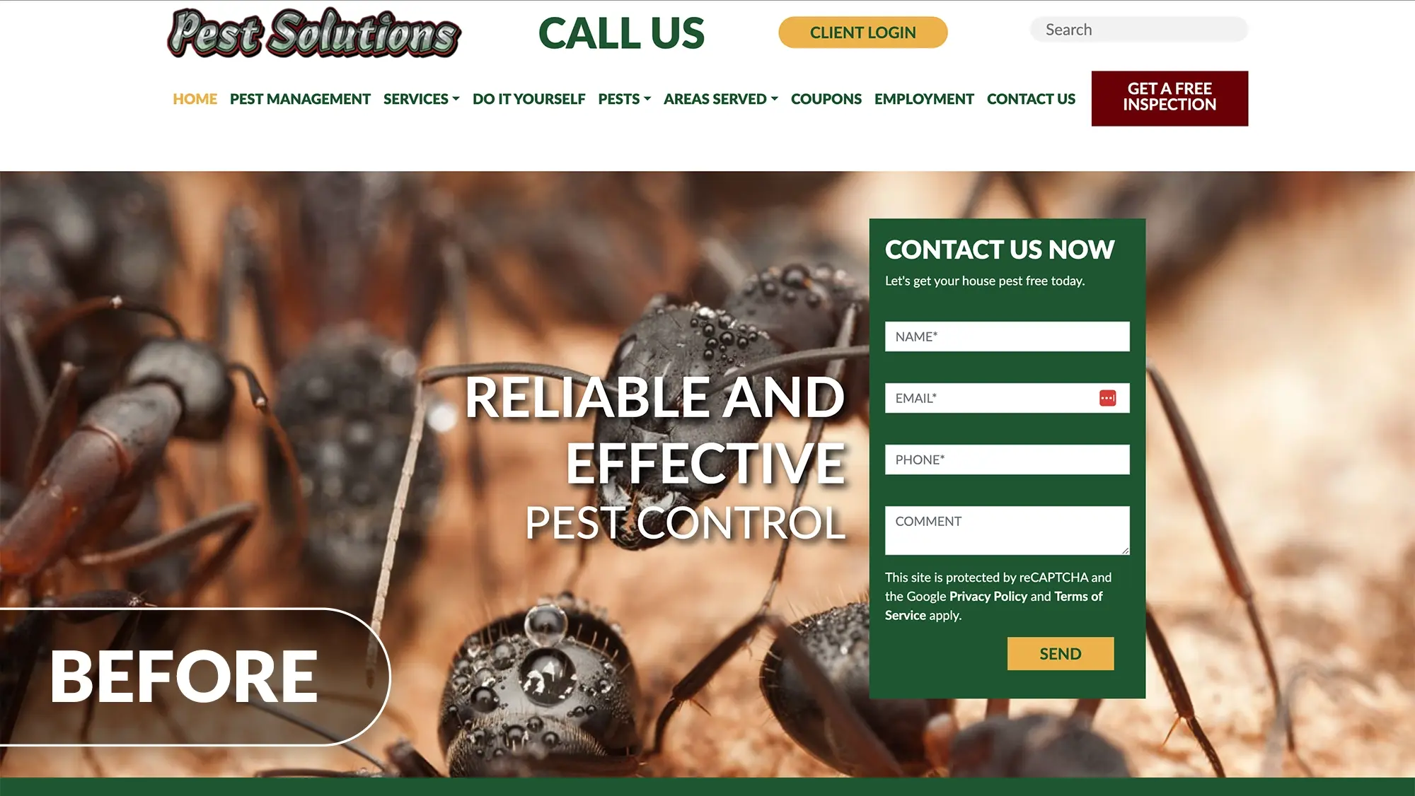 pest solutions website before redesign