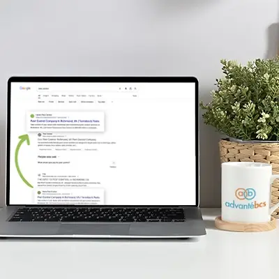 search engine optimization service expertise